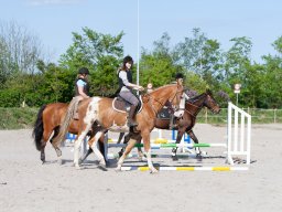 IMG_0644_web